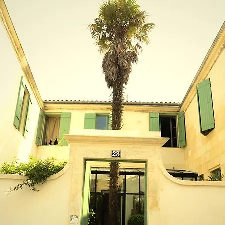 La Maison du Palmier-2